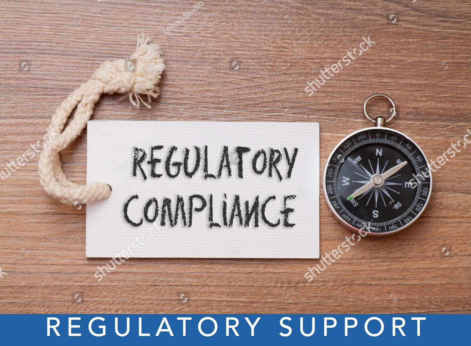Regulatory Service